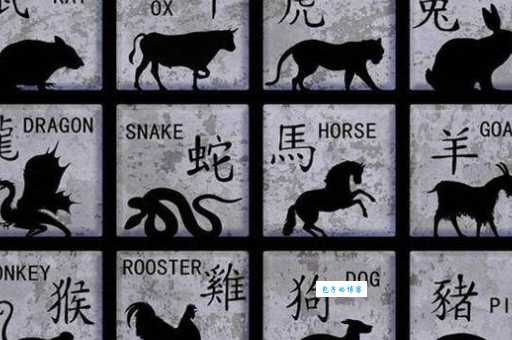 穿街过巷是哪个生肖的特性？灵巧动物猜生肖