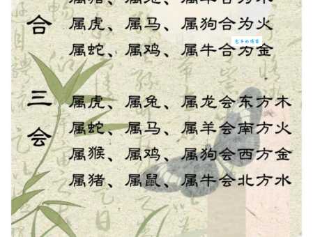 旁征博引与十二生肖的关系是什么？细说生肖特点