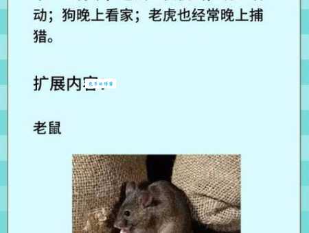 重见天日是什么生肖？十二生肖中哪个最符合？