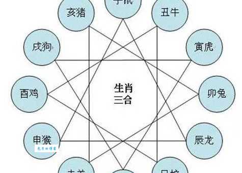 杂乱无章是什么生肖？猴、蛇、牛哪个更贴切？