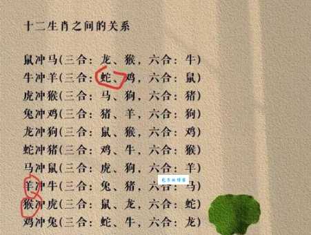 杂乱无章是什么生肖？猴、蛇、牛哪个更贴切？