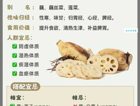 藕断丝连，是哪几个生肖的特性？
