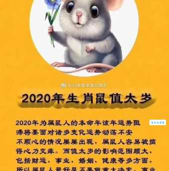 文人是什么生肖？鼠年出生的人是文人吗？