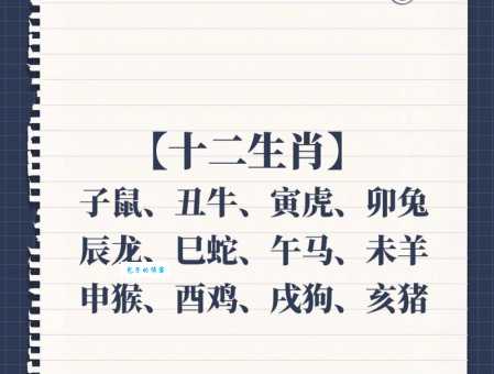 文人是什么生肖？鼠年出生的人是文人吗？