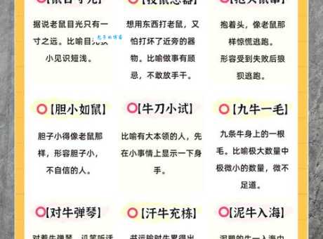 花落谁家指的是哪个生肖？答案让你意想不到