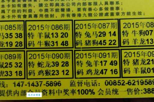 俗不可耐指的是哪个生肖？内幕答案公布！