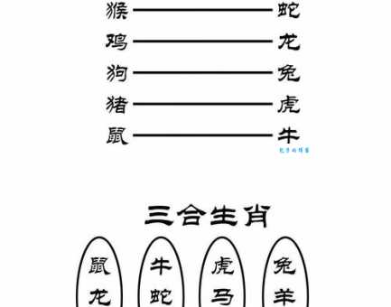 壮志凌云是什么生肖？马、兔、狗哪个更贴切？