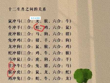 七夕九天对应哪个生肖？趣味谜题等你来解！