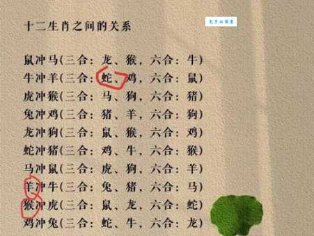 如日中天对应哪个生肖？详解成语背后的生肖故事