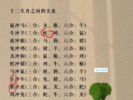 福无十全与十二生肖的关联，哪个生肖最符合？