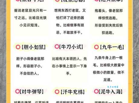 数不胜数是哪个生肖的象征？探索成语与生肖的渊源