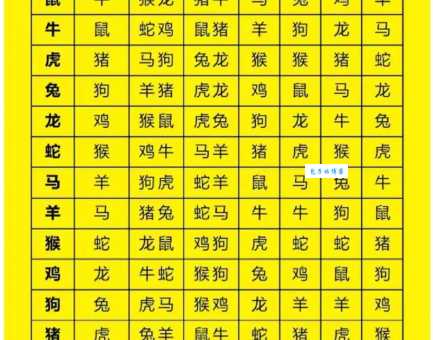 十二生肖中谁最逍遥自在？答案就在这里！