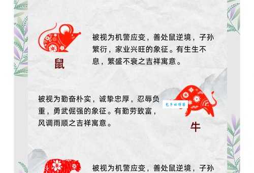 直眉瞪眼是什么生肖？图文详解生肖性格与特征