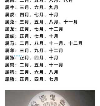 皓月千里是哪个生肖？民间传说告诉你答案！