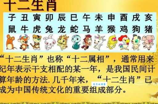 当家做主是哪个生肖？揭秘这些生肖的领导力！