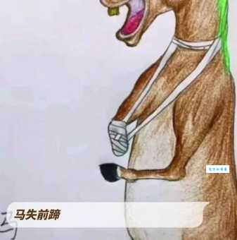 成语马失前蹄指的是什么生肖？简单易懂的解释