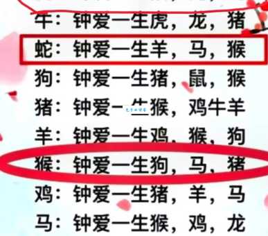 赫赫有名是什么生肖？龙马狗哪个更胜一筹？