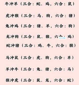 生肖配对：哪些生肖水火不容，注定不合？
