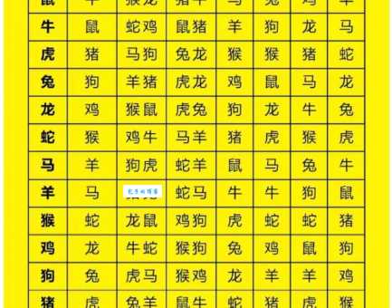 赶尽杀绝代表什么生肖？揭秘隐藏的生肖含义