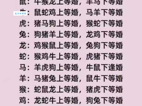 解密双宿双栖：十二生肖中的爱情象征