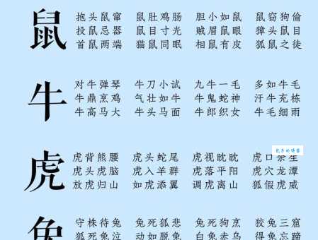 成语七上八落对应什么生肖？趣味解读生肖与成语的关系