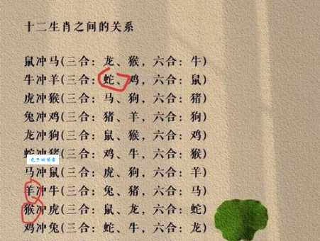 “高飞远集”是哪个生肖的象征？一探究竟