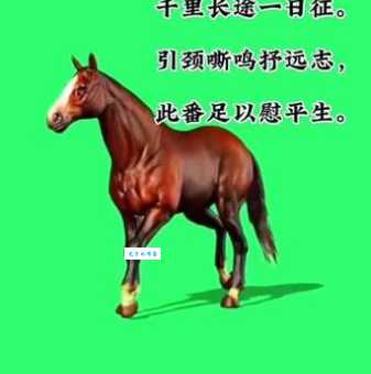 急急急！热火朝天打一生肖，答案是什么？