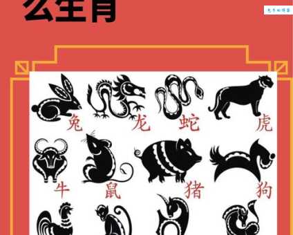 龙凤呈祥指的是哪几个生肖？详解生肖寓意