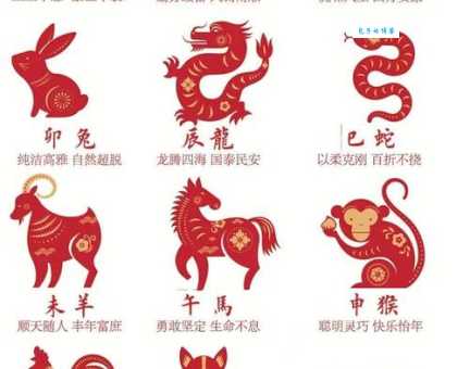 颠三倒四形容哪个生肖？看看你的生肖上榜了吗？
