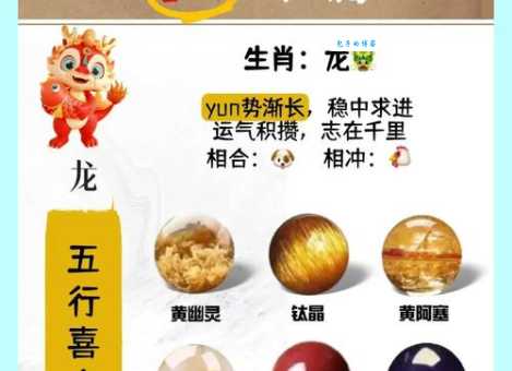 揭秘：掌上明珠究竟代表哪个生肖？