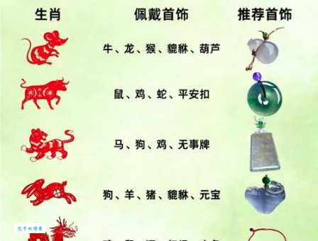 揭秘：掌上明珠究竟代表哪个生肖？