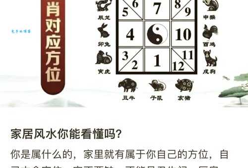 广开门路指的是哪个生肖？详解生肖与机遇的关系