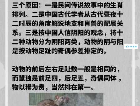 你知道“往事如烟”指的是什么生肖吗？