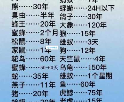 龟鹤之年和十二生肖的关系是什么？轻松了解生肖与寿命