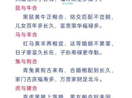 急如风火对应哪个生肖？最佳答案揭晓！