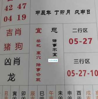 极目远眺最佳准确生肖是哪一个？速来解答！