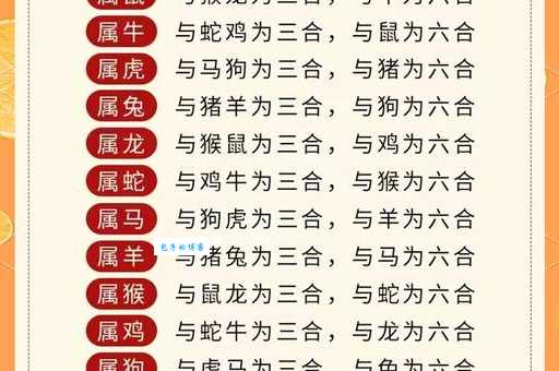胆大包天正确一肖动物：虎？龙？还是其他？