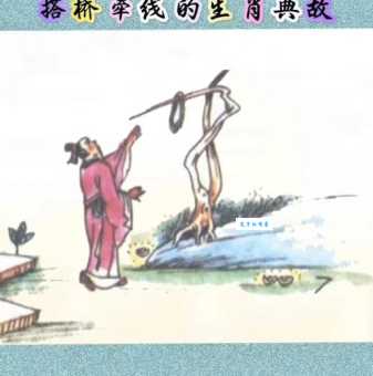 搞懂“搭桥牵线”的真正含义及应用场景