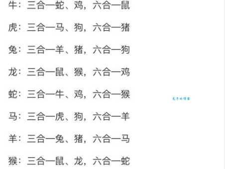 哪个生肖最爱走旁门歪道？揭秘生肖性格与成功秘诀