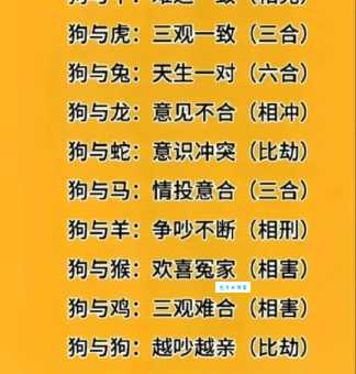 安身立命是什么生肖？牛、鼠、狗哪个更符合？