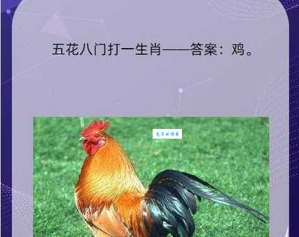 解谜：洋洋自得，指的是哪种生肖？