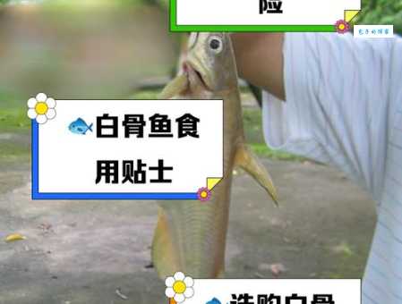 你知道吃鱼不吐骨头下一句吗？这句俗语的真正意思