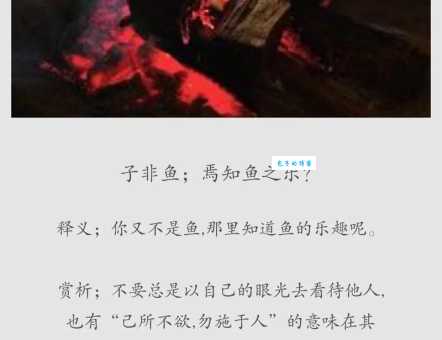 你知道吃鱼不吐骨头下一句吗？这句俗语的真正意思