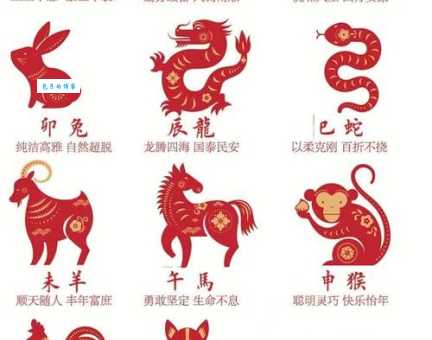 “显而易见”代表什么生肖？答案可能让你意想不到！