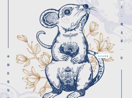 “显而易见”代表什么生肖？答案可能让你意想不到！