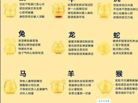 光杆司令最佳答案生肖是什么？详解十二生肖性格特点