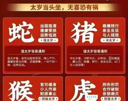 临渊结网是什么生肖？答案揭晓，快来看看吧！