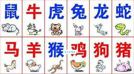 蜂拥而起打一正确生肖是什么？答案揭晓！