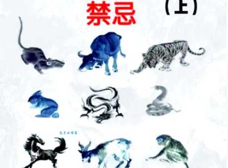 黑灯瞎火指什么生肖？答案揭晓，带你了解生肖秘密！