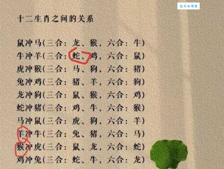 “一息善存”这个谜语，对应的生肖是哪个？